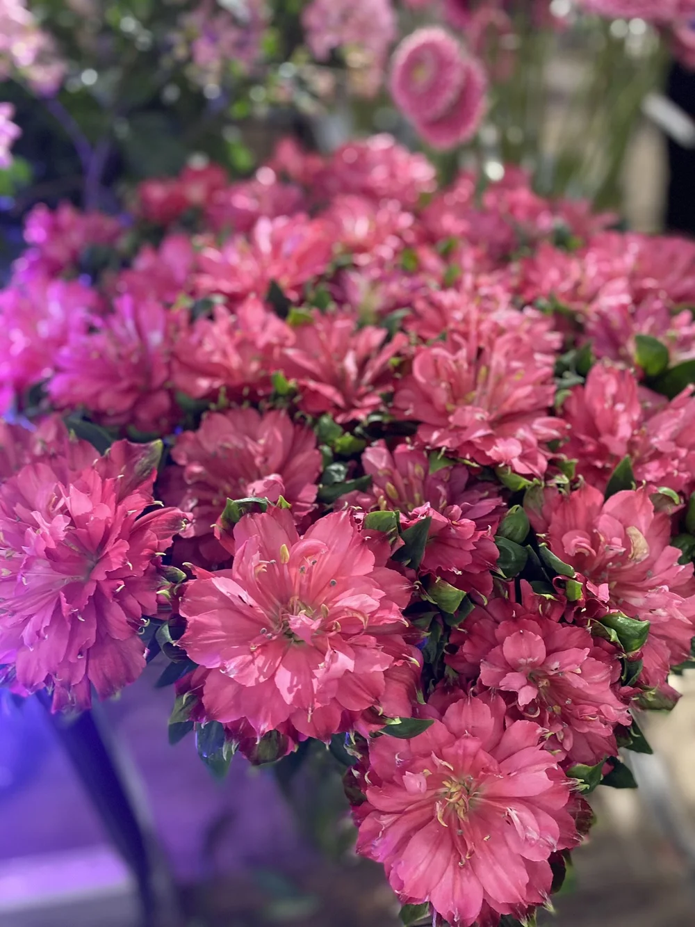 Blog Maarten Huisman