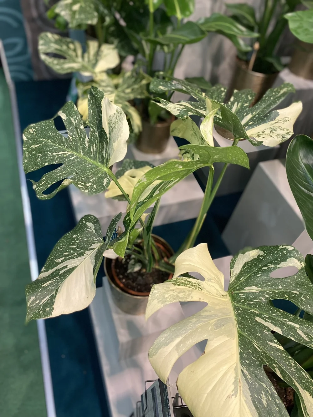 Blog Maarten Huisman