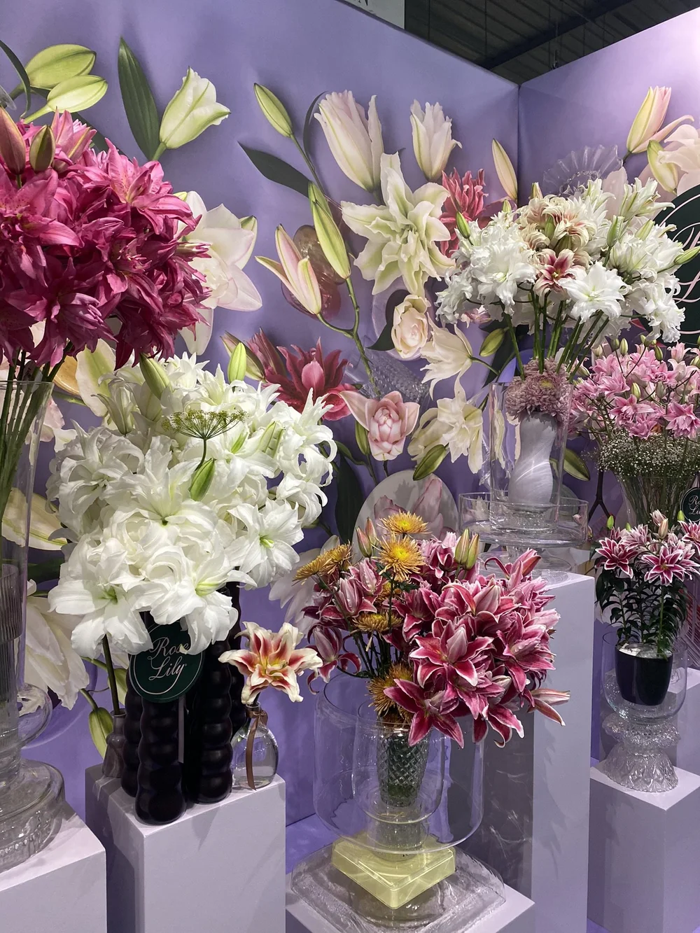 Blog Maarten Huisman