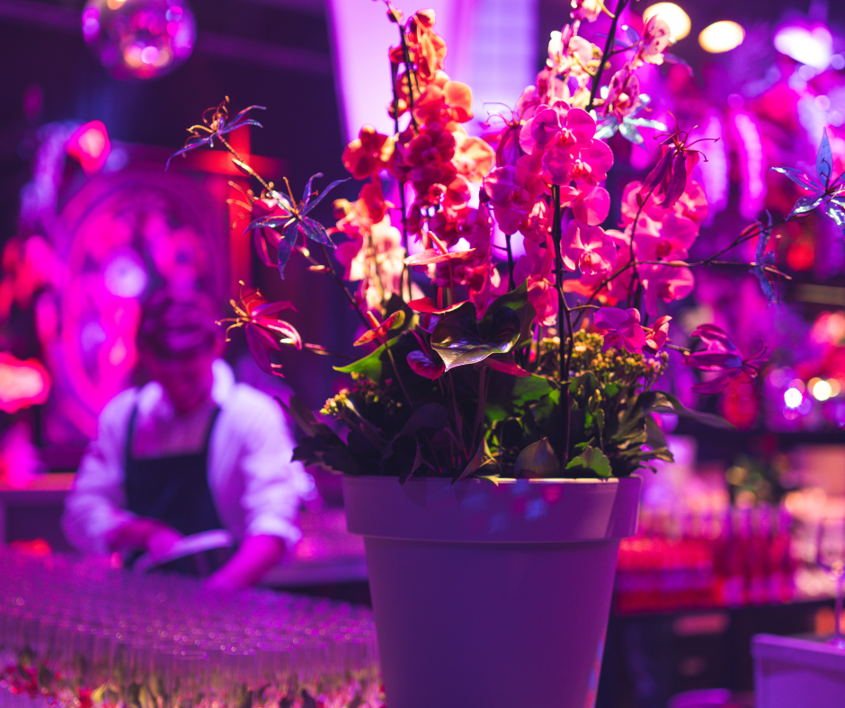 Untitled design (19).png