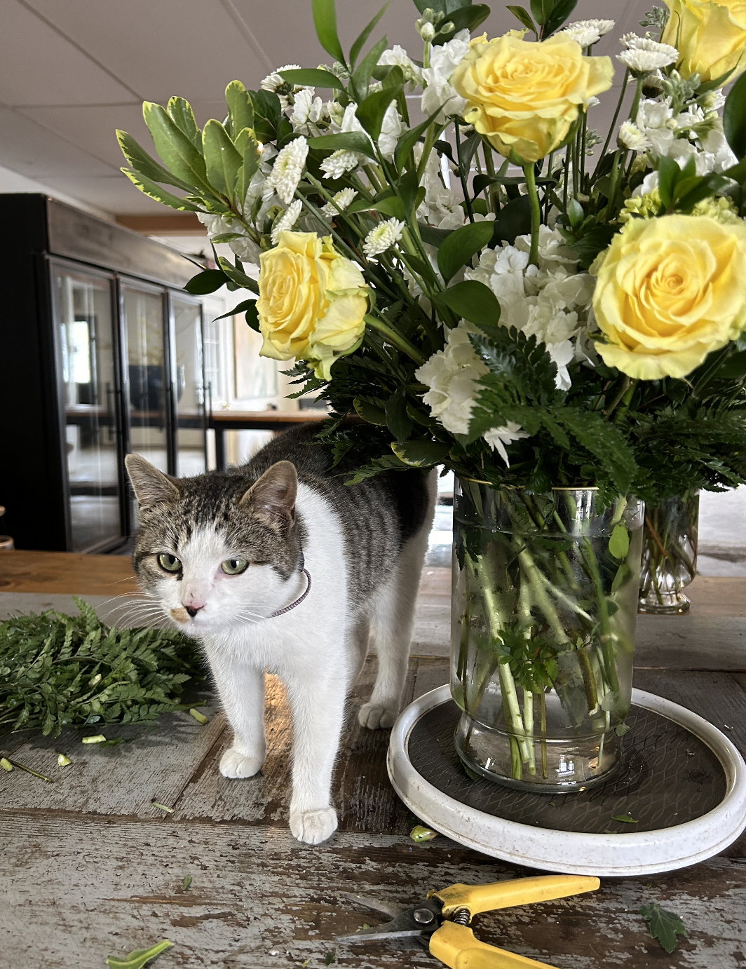 Screen Shot 2024-05-20 at 11.21.29 AM.png