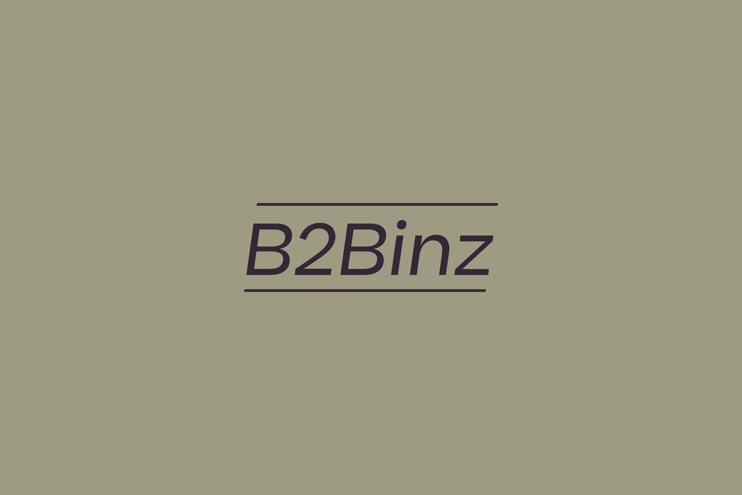 231010_B2Binz_Website.jpg