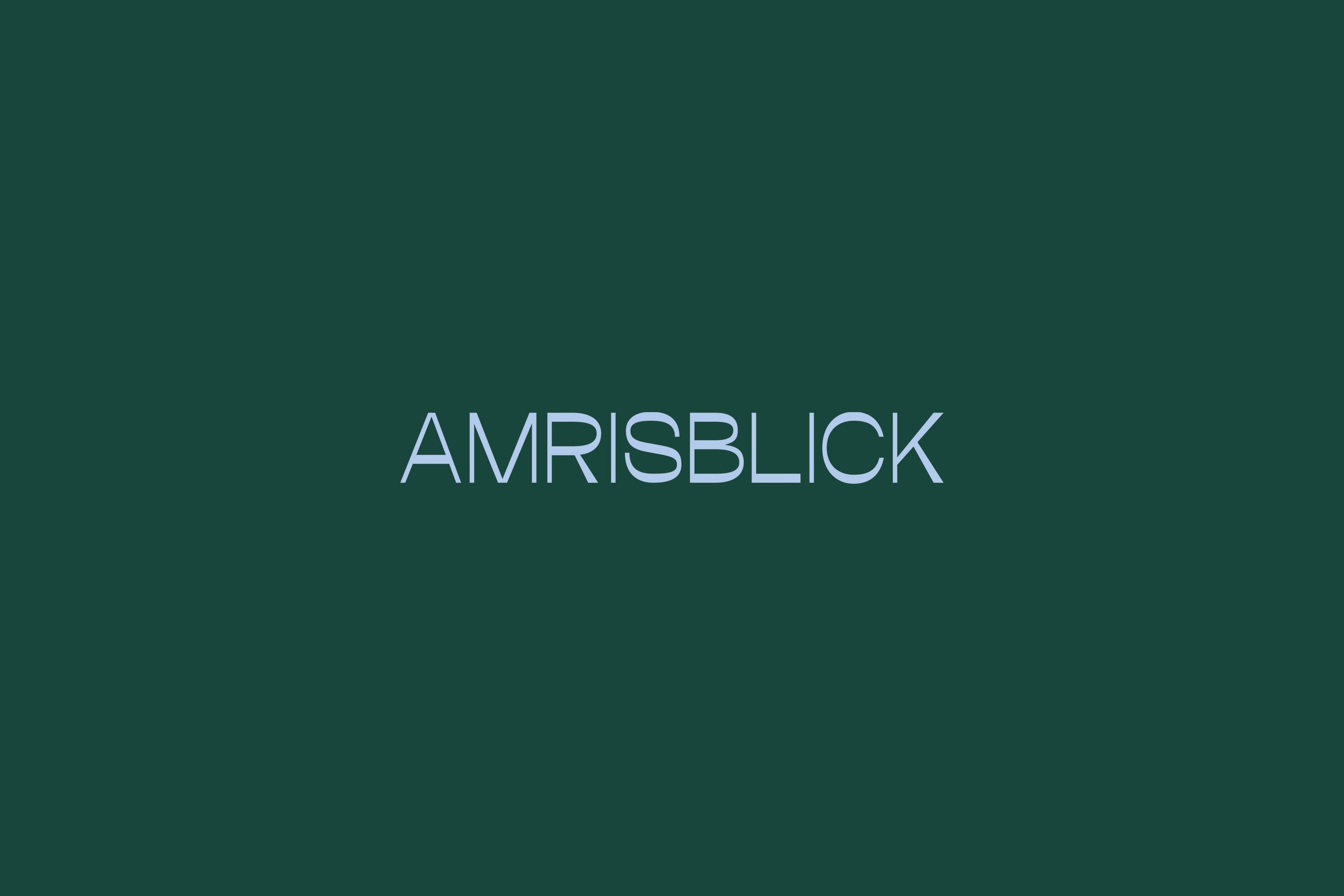 Amrisblick2.jpg