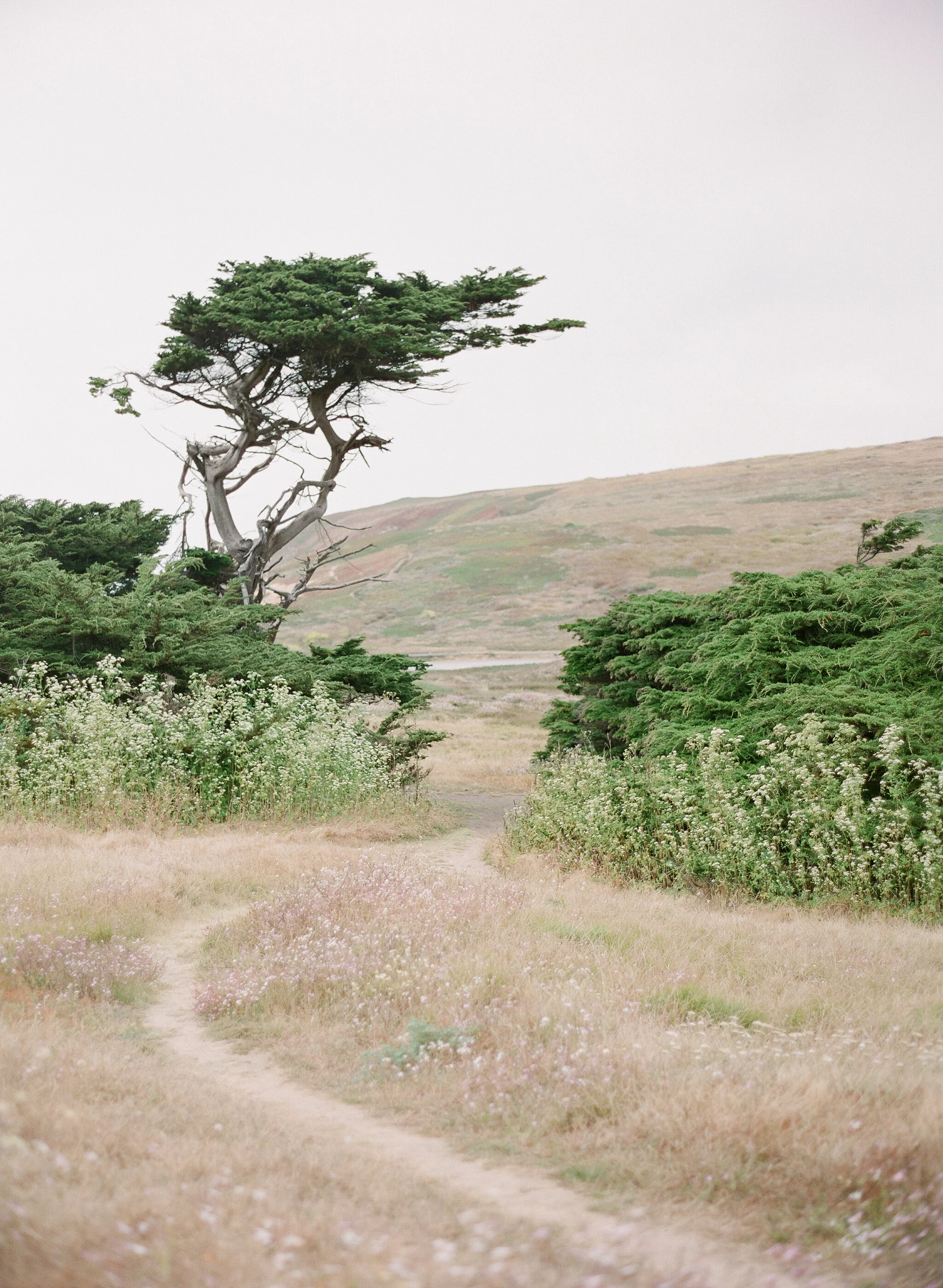 photographing californias highway 1