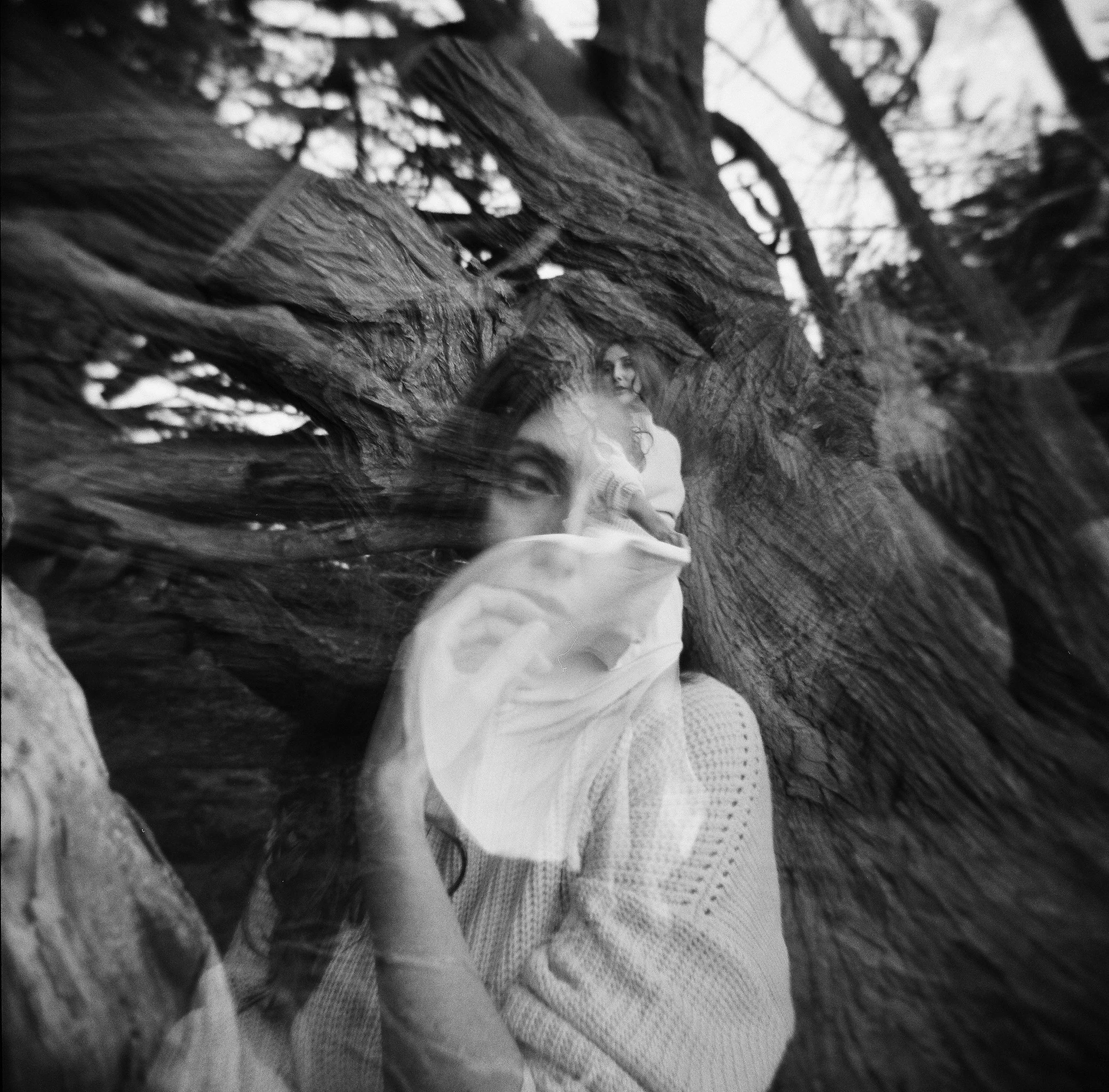 sonoma wedding photographer, napa wedding photographer