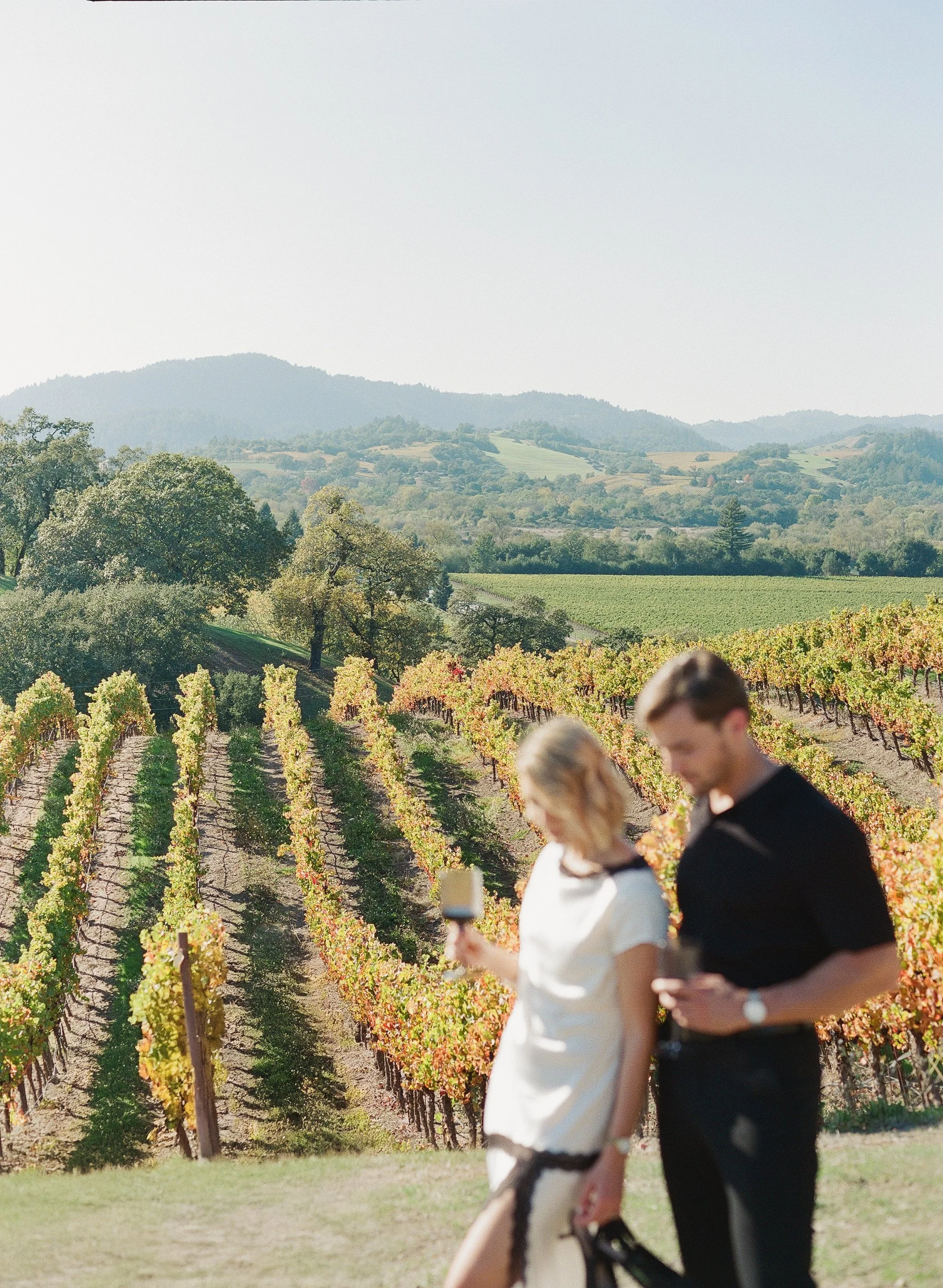 photographing californias highway 1