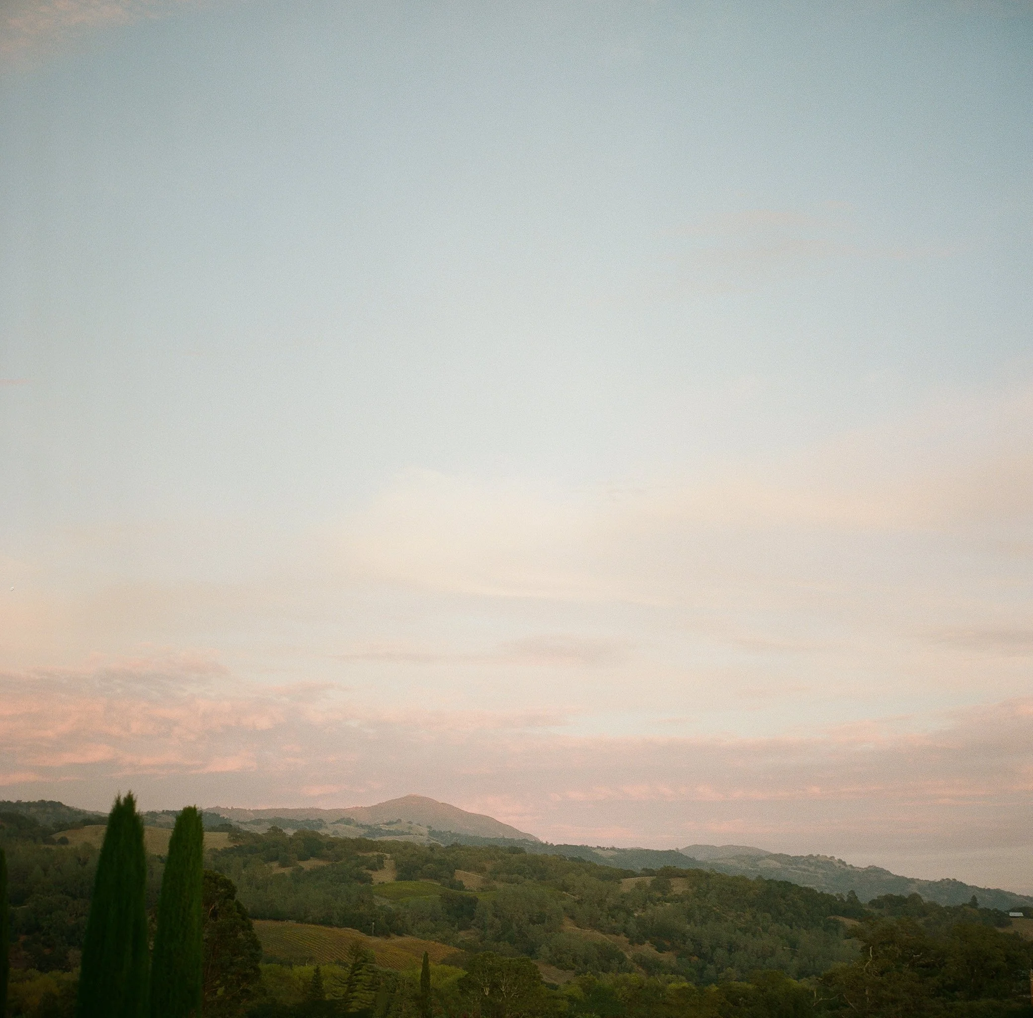 California landscape at dusk — film wedding photography by Radostina Boseva