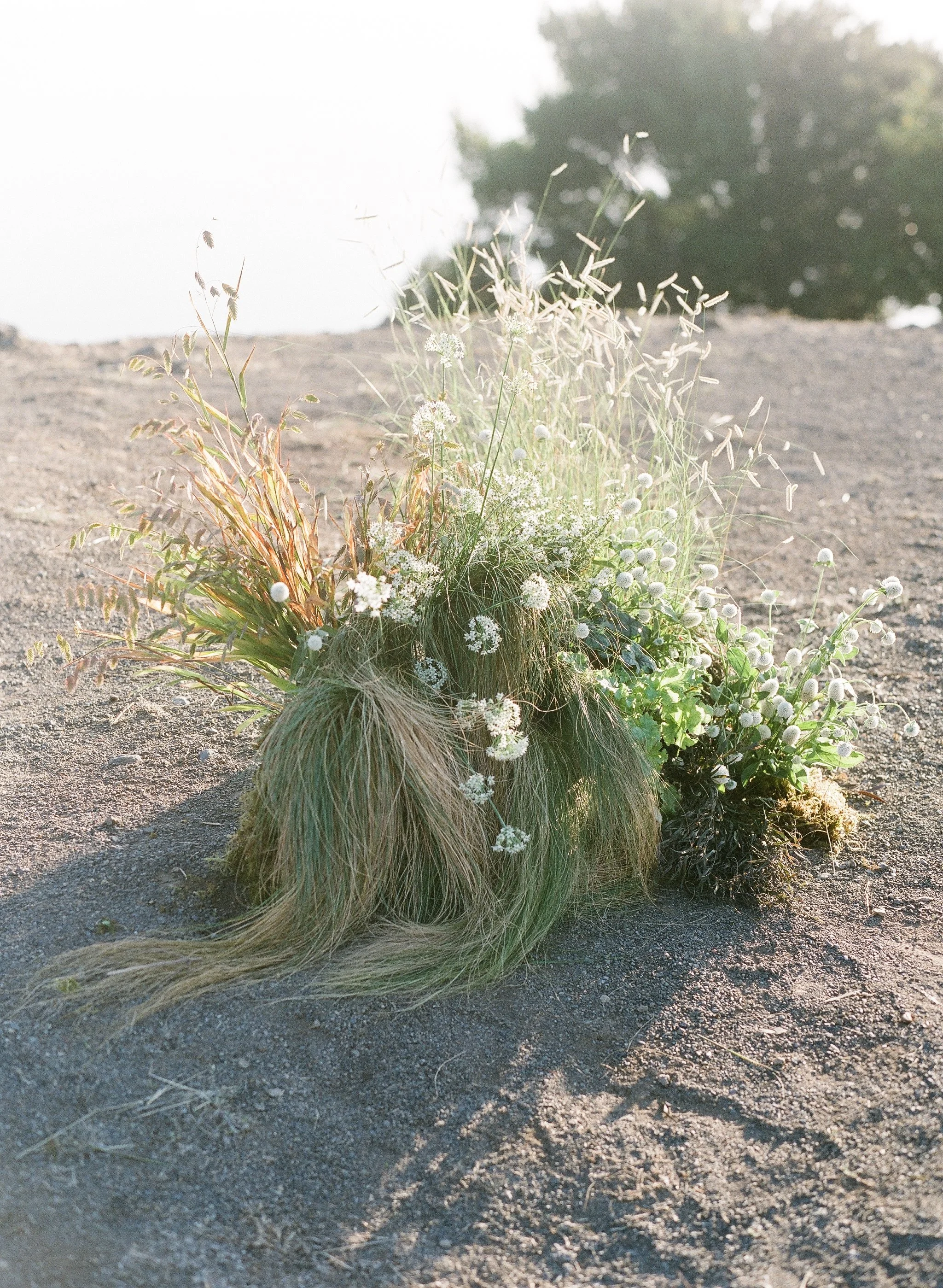Wild grass and wildflower floral arrangement on sandy coastal ground, film wedding photography, Big Sur wedding photographer California