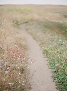 big sur wedding photographer big sur elopement photographer
