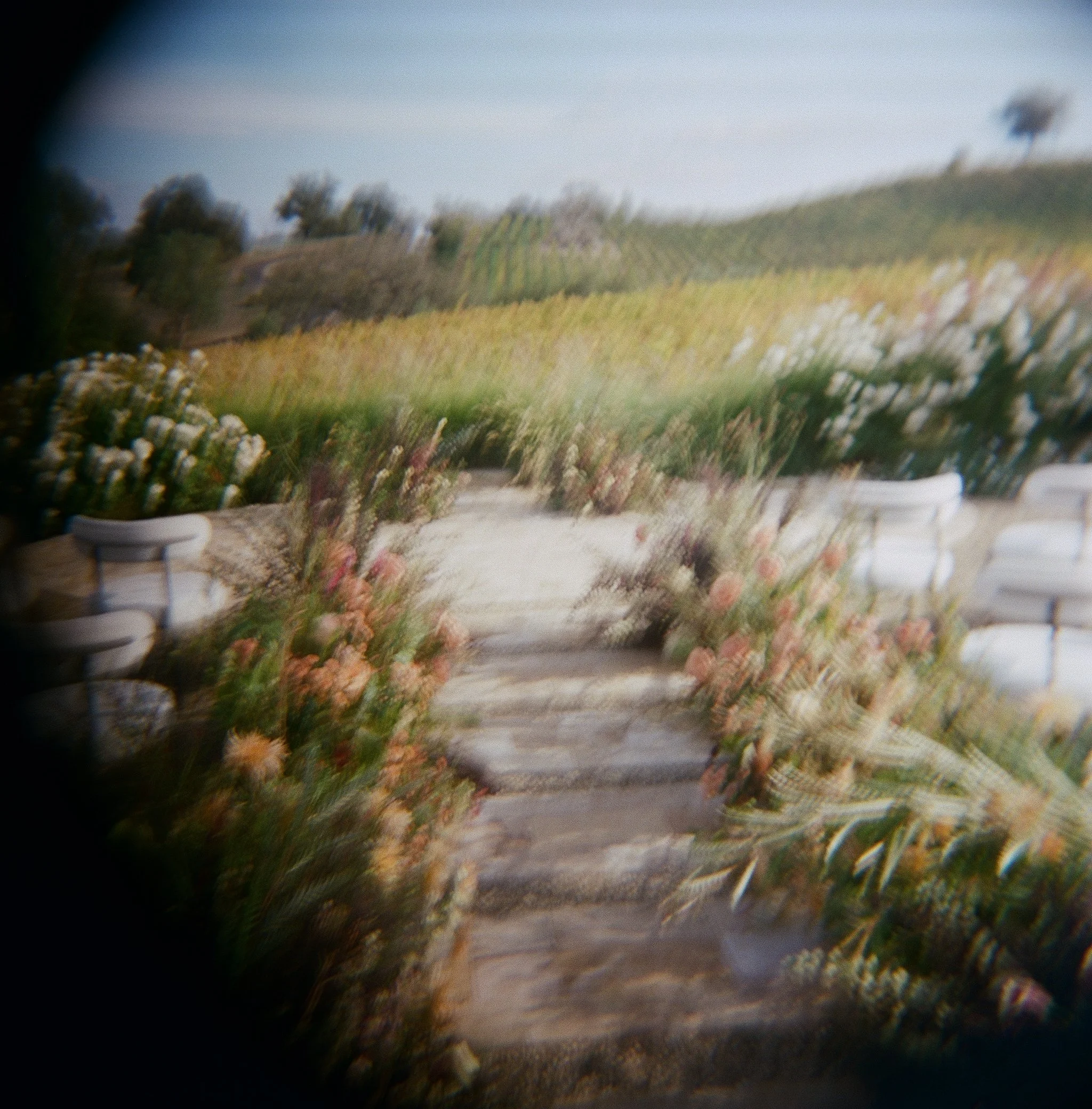 quiet places for wedding photos in carmel and monterey