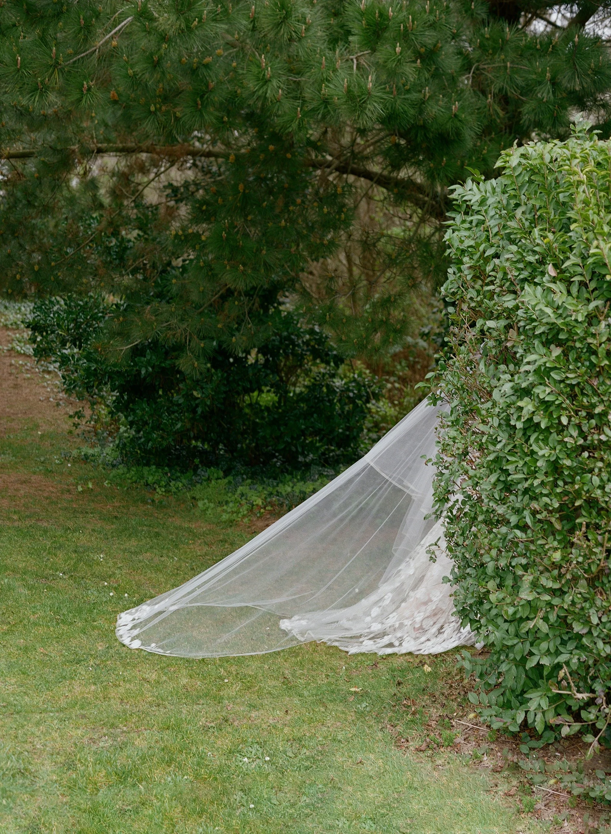 Candid documentary veil moment in garden at wedding — analogue film photography by Radostina Boseva