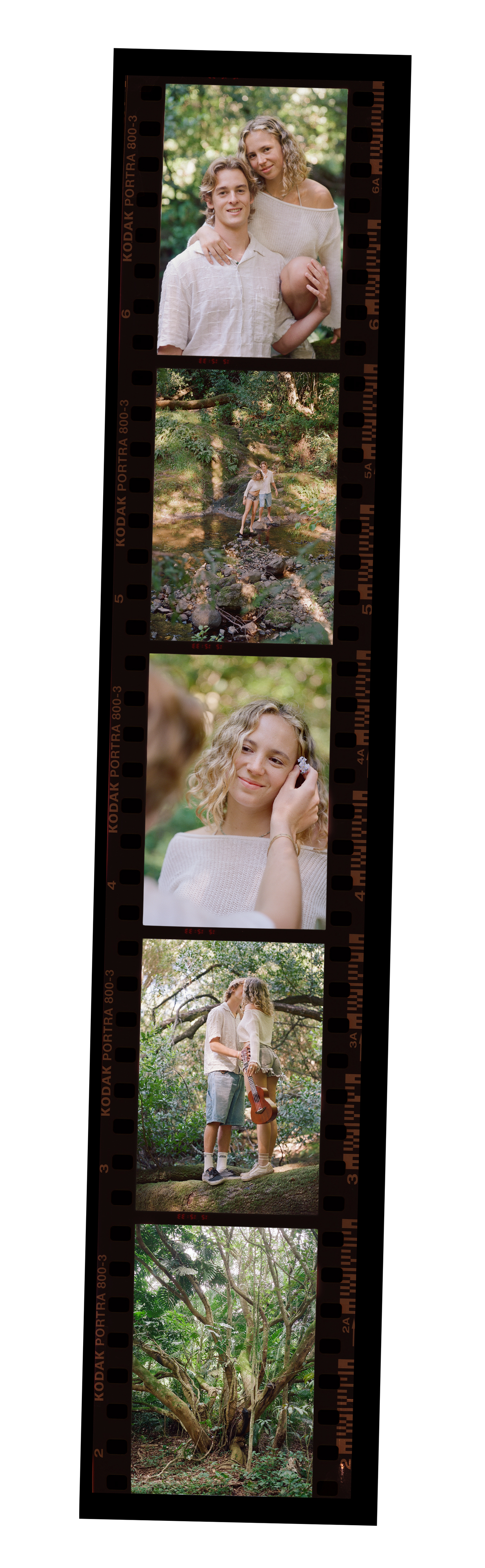 Film strip from an engagement session at Santa Lucia Preserve Carmel Valley, couple among ancient oaks and woodland, film photography by Radostina Boseva Carmel Valley