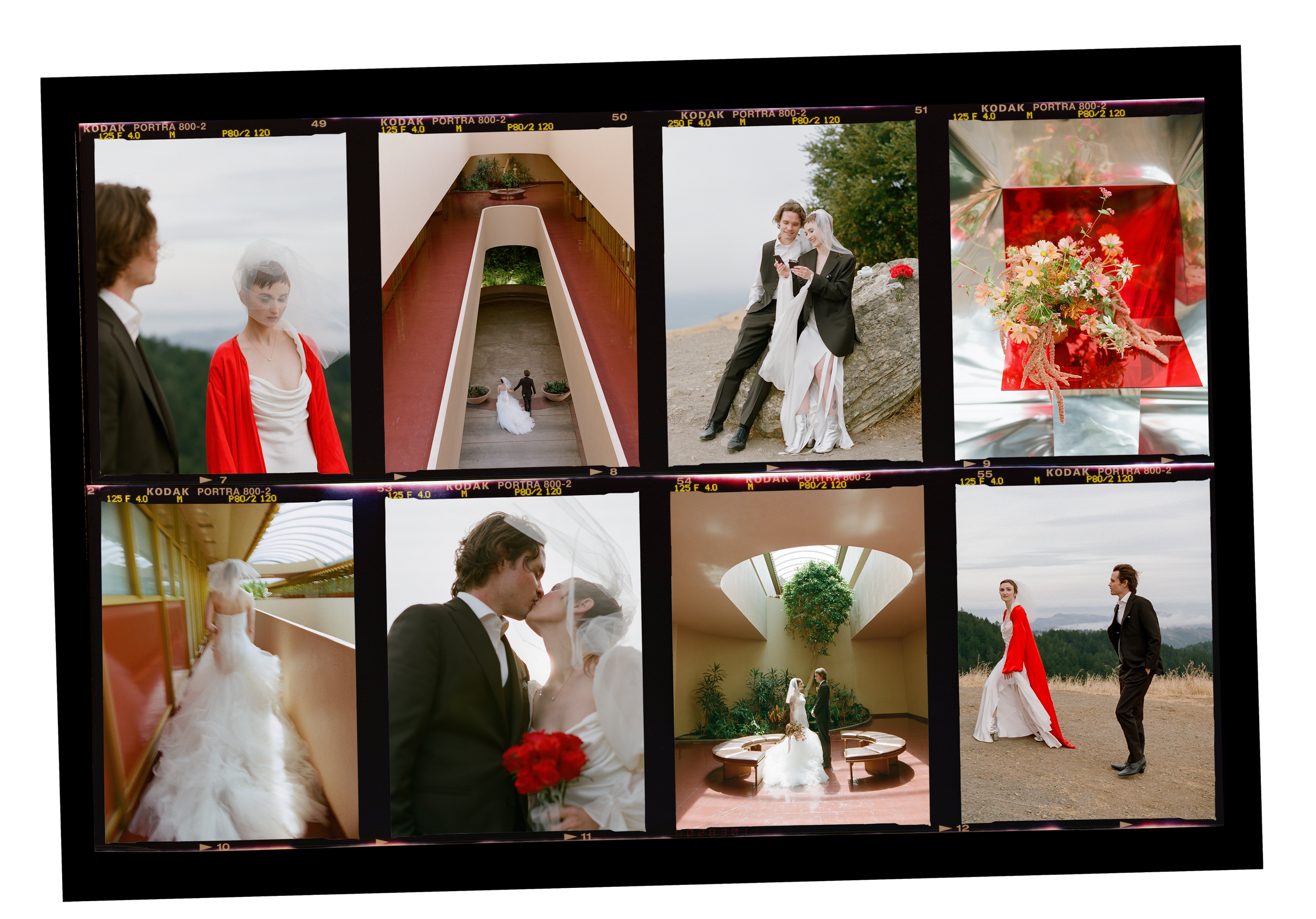 contact sheet from a marin county civic center elopement · san rafael california · film photography by radostina boseva