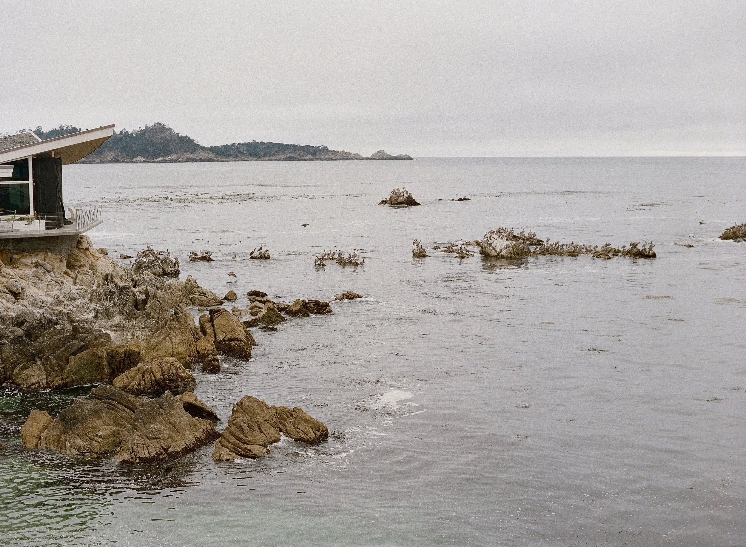 Carmel coastline looking out over Monterey Bay, rocky shoreline and overcast Pacific light, film photography by Radostina Boseva Carmel
