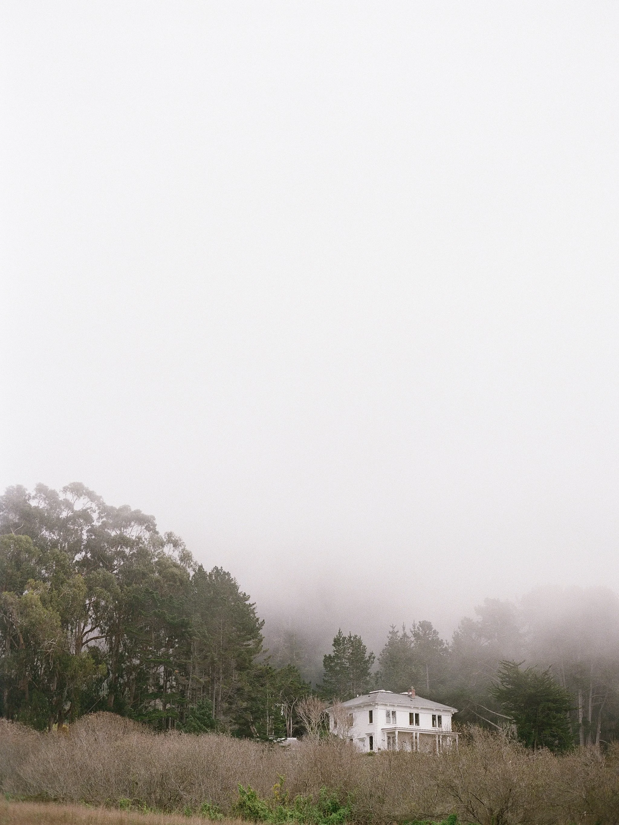 Switzer Farm wedding venue in Mendocino surrounded by fog and coastal forest, photographed on film