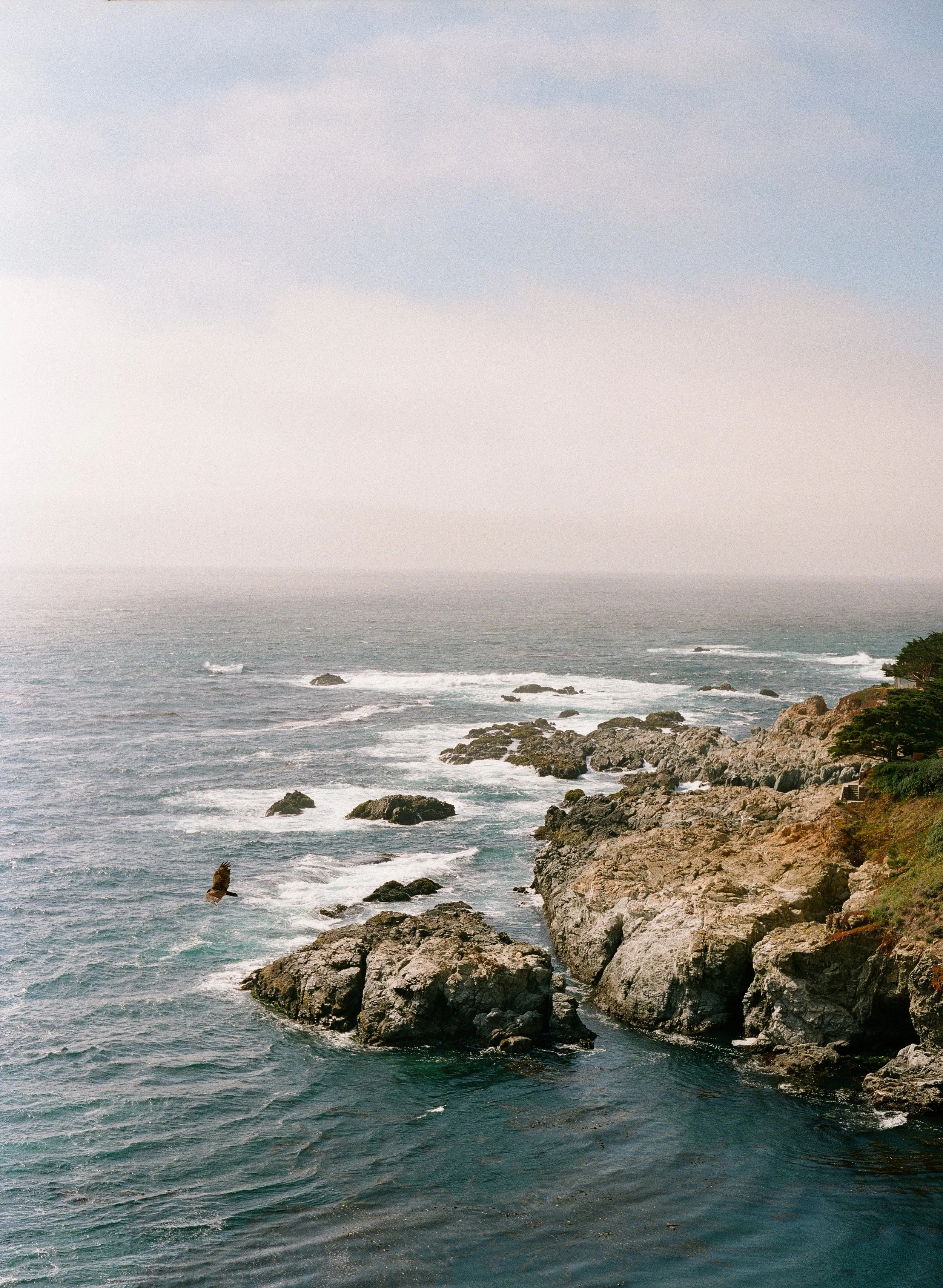 Rocky Big Sur coastline with hawk in flight over the Pacific, film photography, Big Sur wedding photographer California