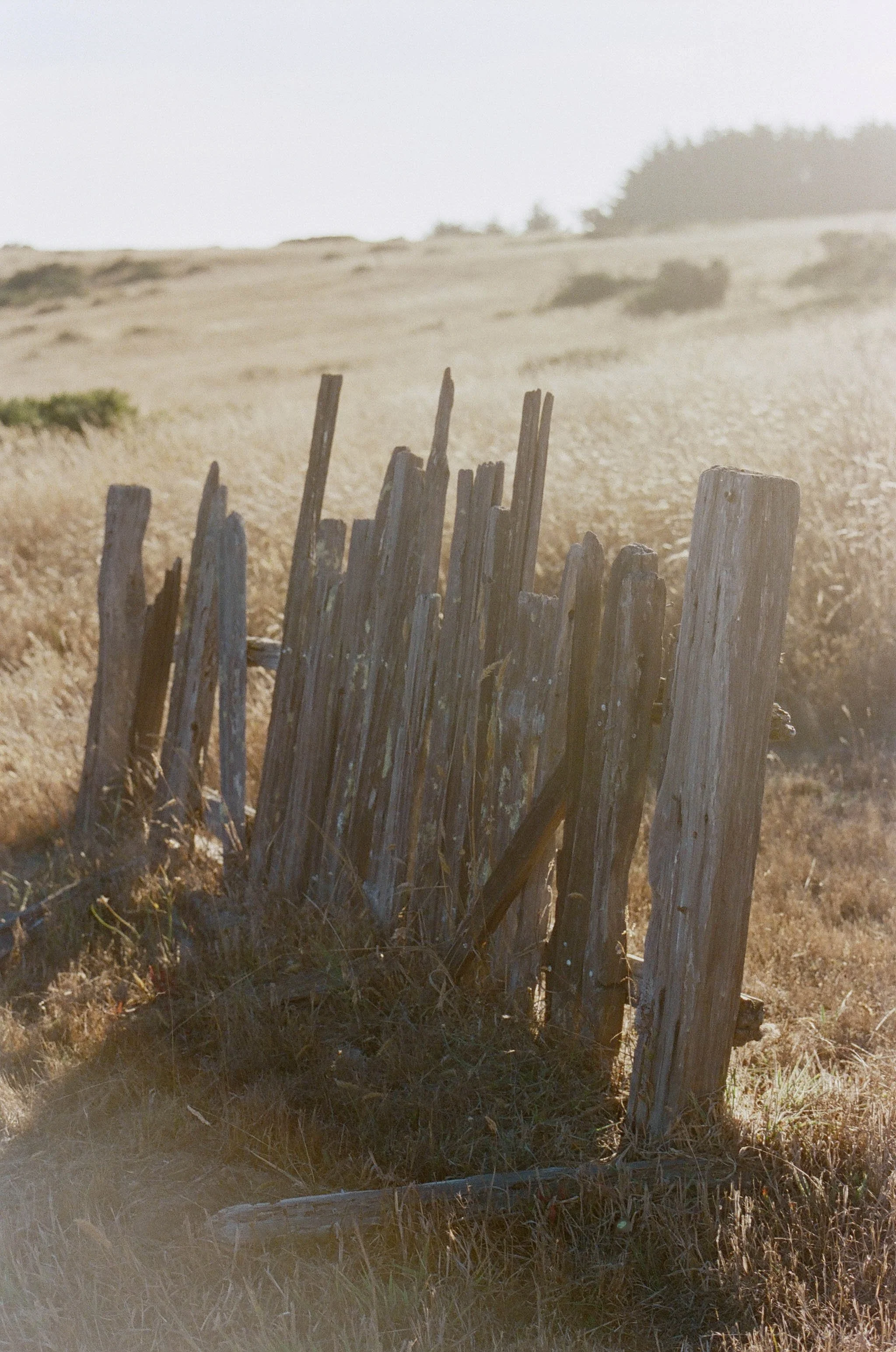 809970_0001.jpg