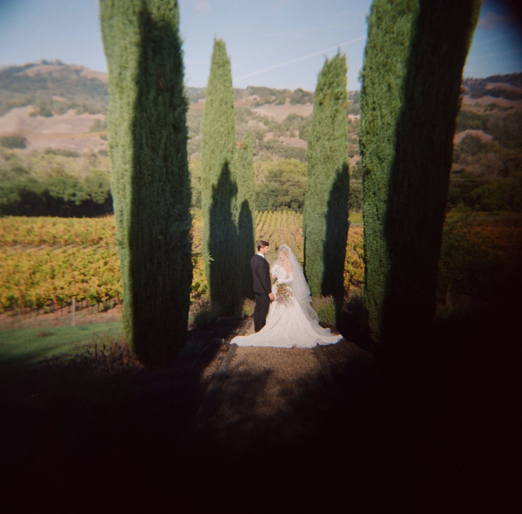 Documentary portrait of bride and groom at Napa Valley vineyard wedding — analogue film photography by Radostina Boseva