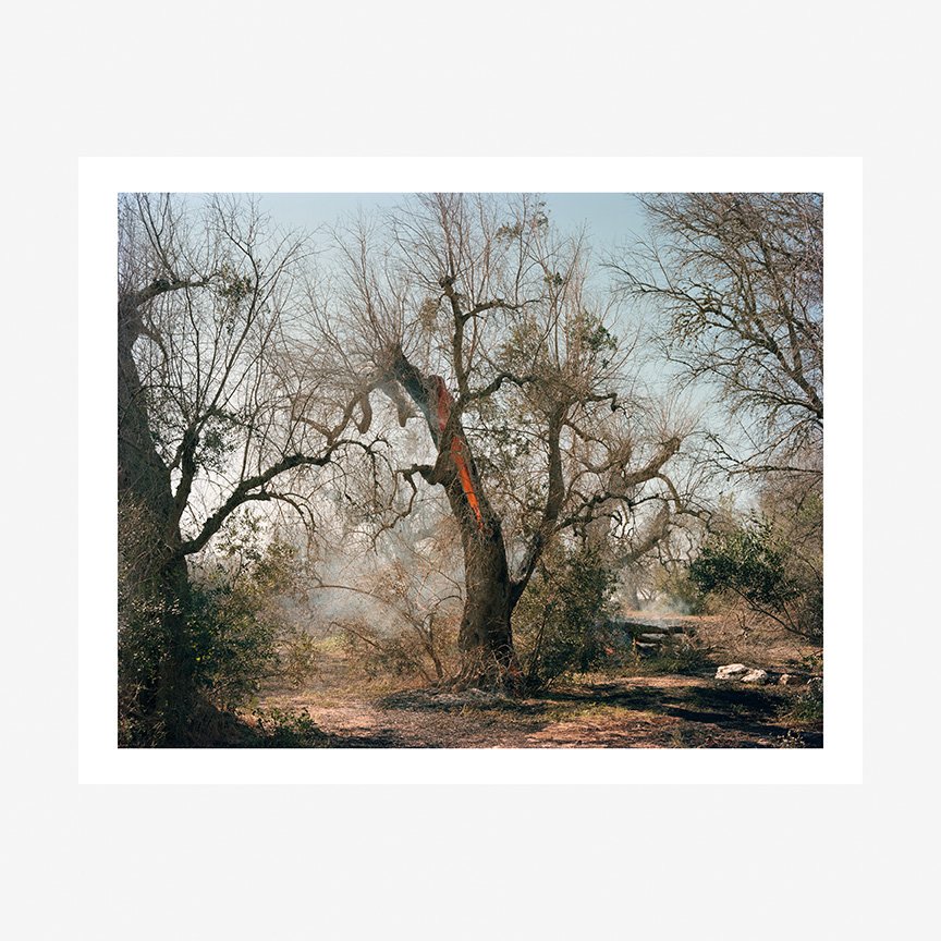 MURRAY.BALLARD_UNTITLED.FROM.GHOSTS.IN.THE.FIELD_2022.jpg