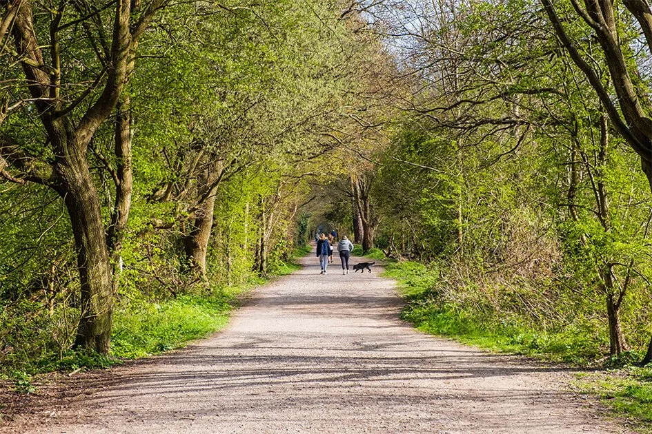 Beautiful park in East Grinstead, paved walking area with trees on either side