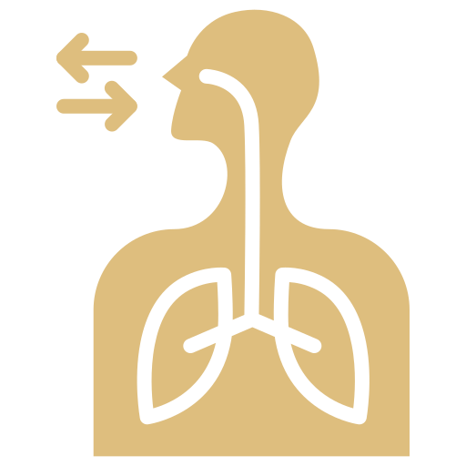 Diagram of human respiratory system showing air intake through nose and mouth.