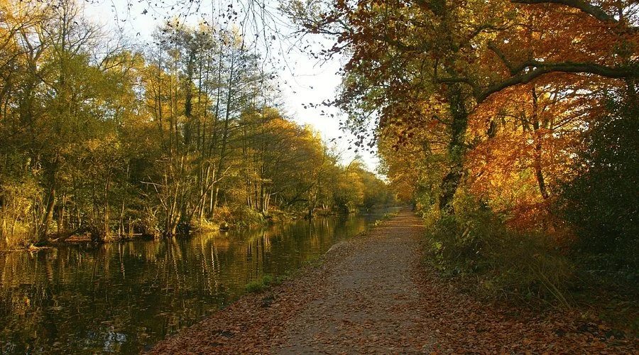 Frimley lodge park with autumnal leaves and a river