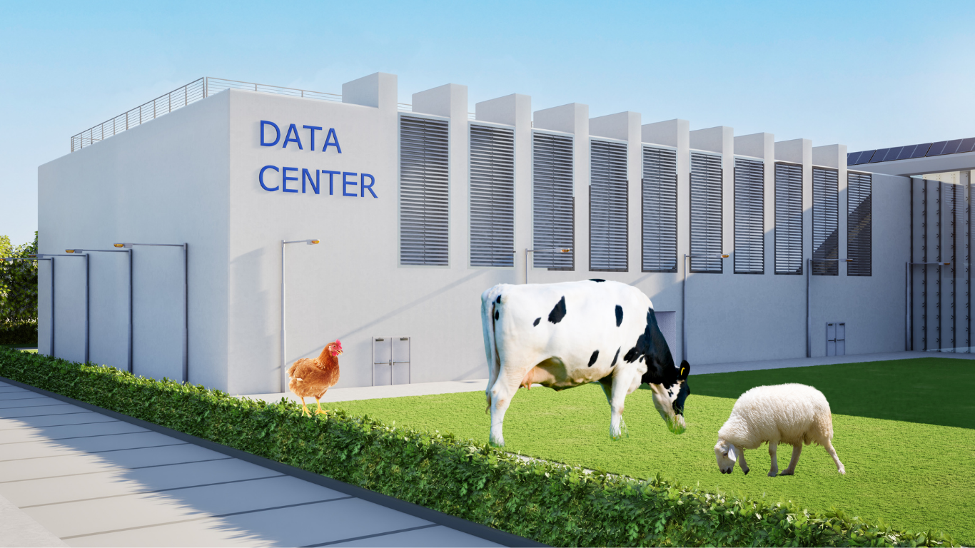 data center with farm animals