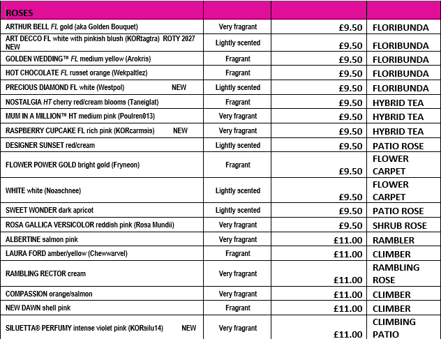 Bare root rose price list at Hollybeck Garden Centre, Southwell