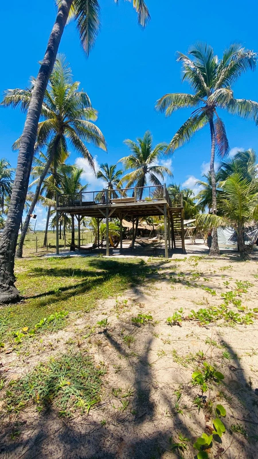 WhatsApp Image 2026-02-07 at 23.28.06.jpeg