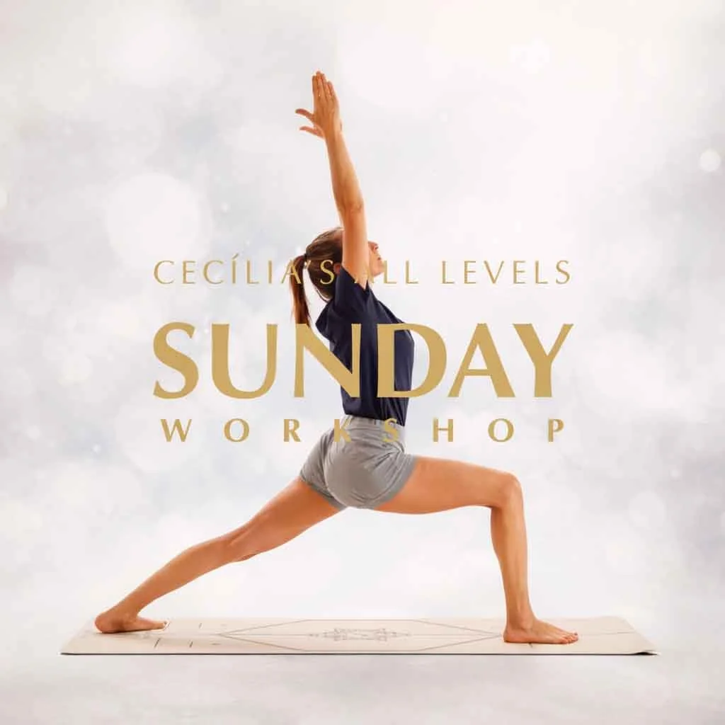Cecilia Sanchez: All Levels WORKSHOP