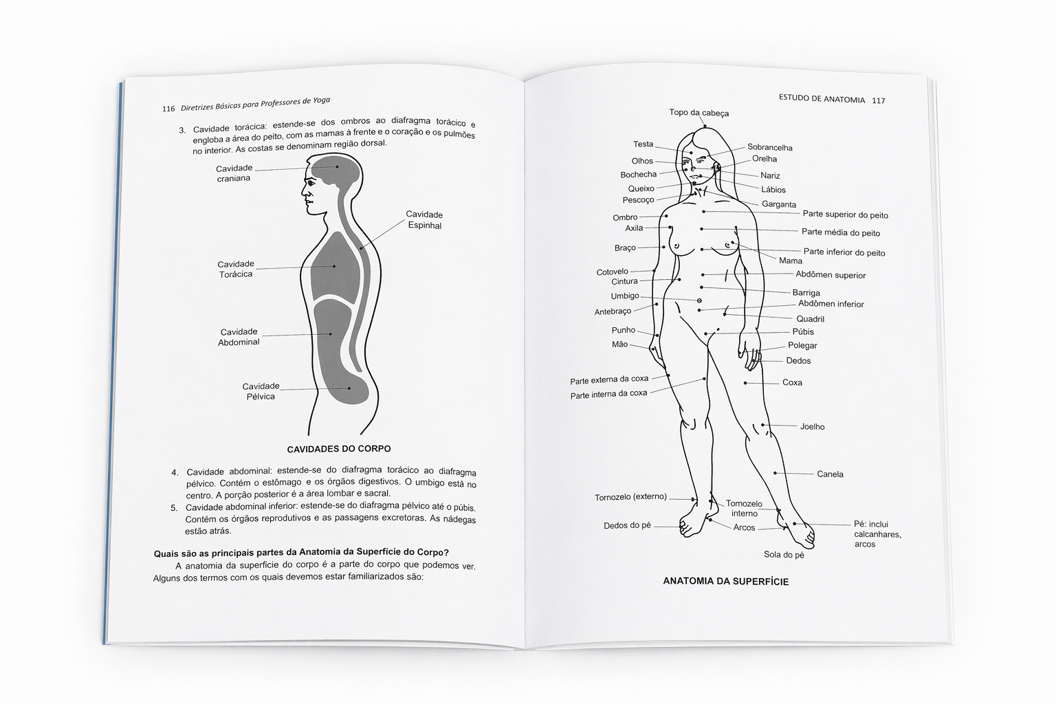 ChatGPT Image 16_04_2026, 15_01_10.png