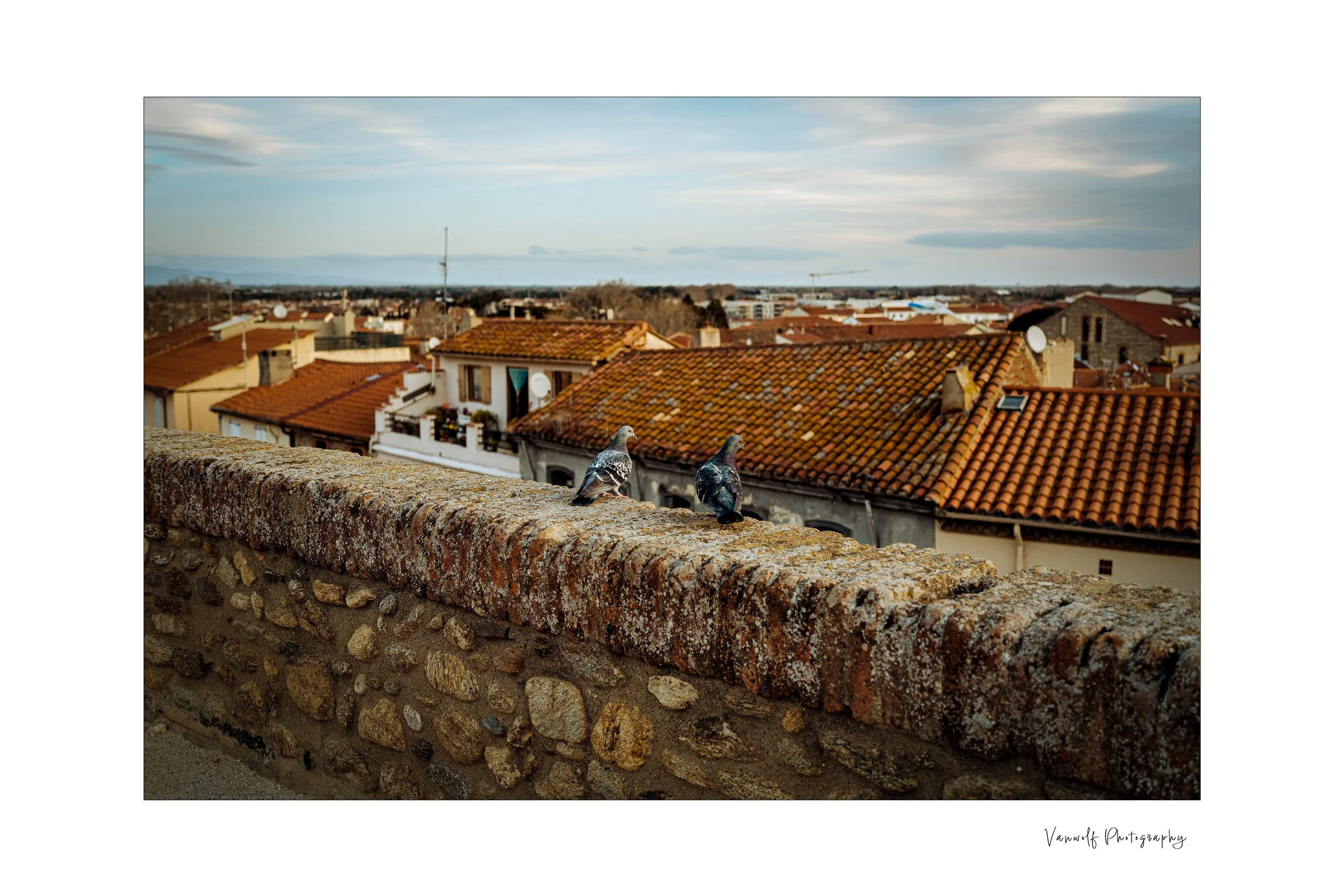ELNE - a remarkable find in France