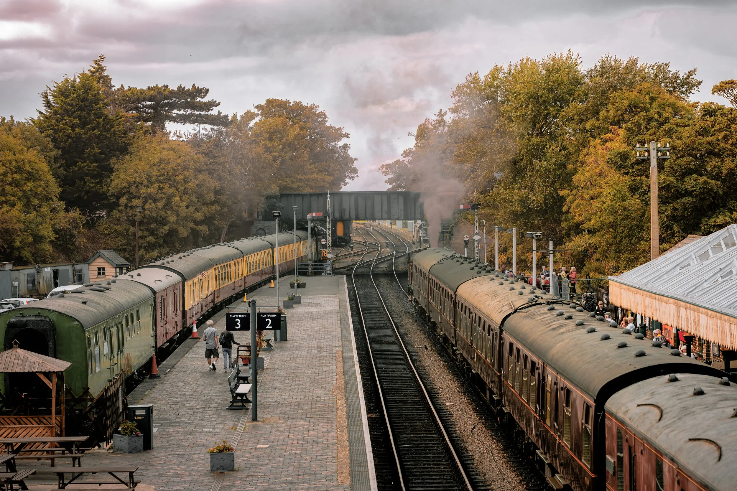 L1005040.jpg