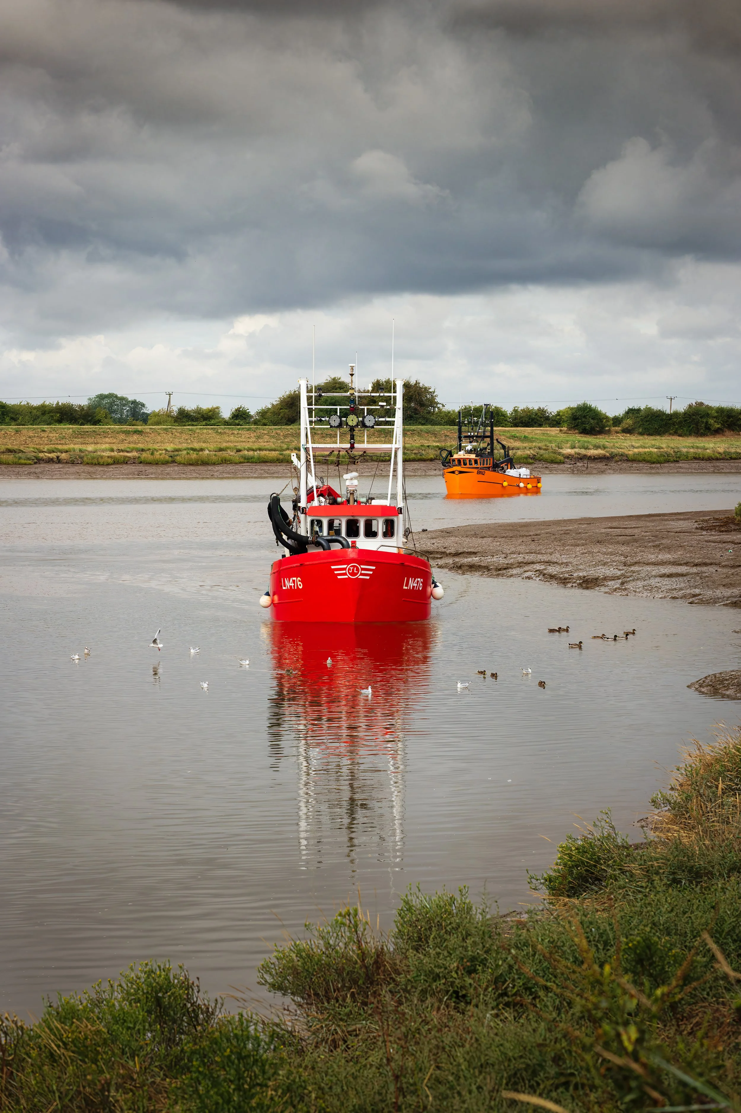 L1003513.jpg