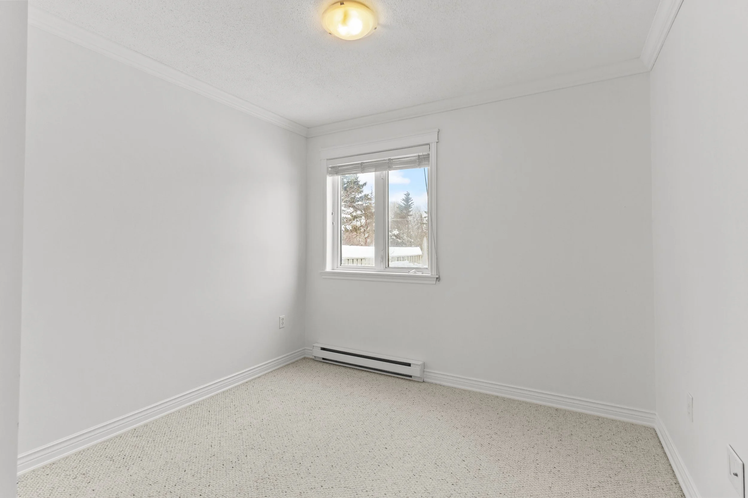 Copy of IMG_7486.jpg