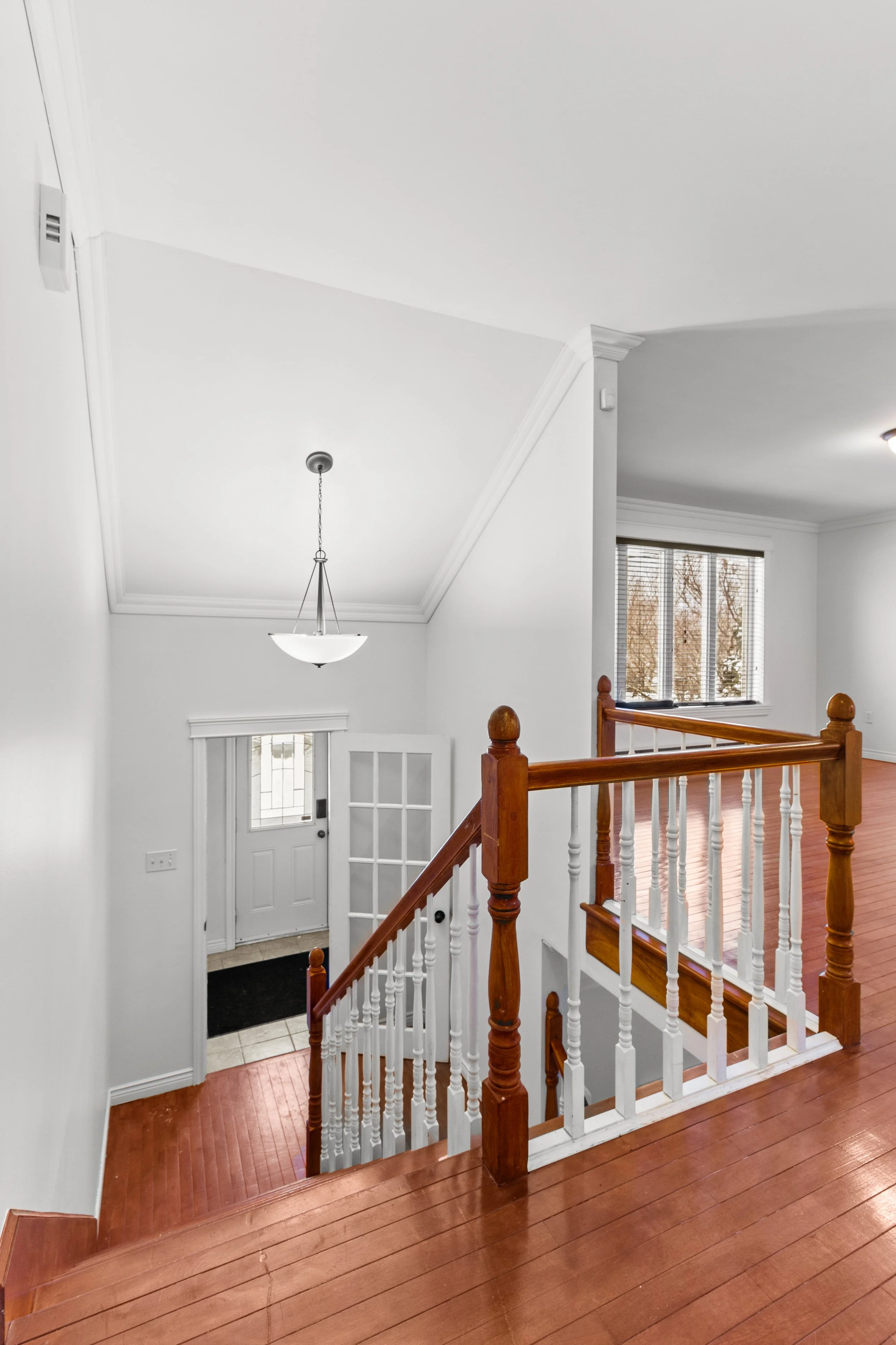 Copy of IMG_7442.jpg