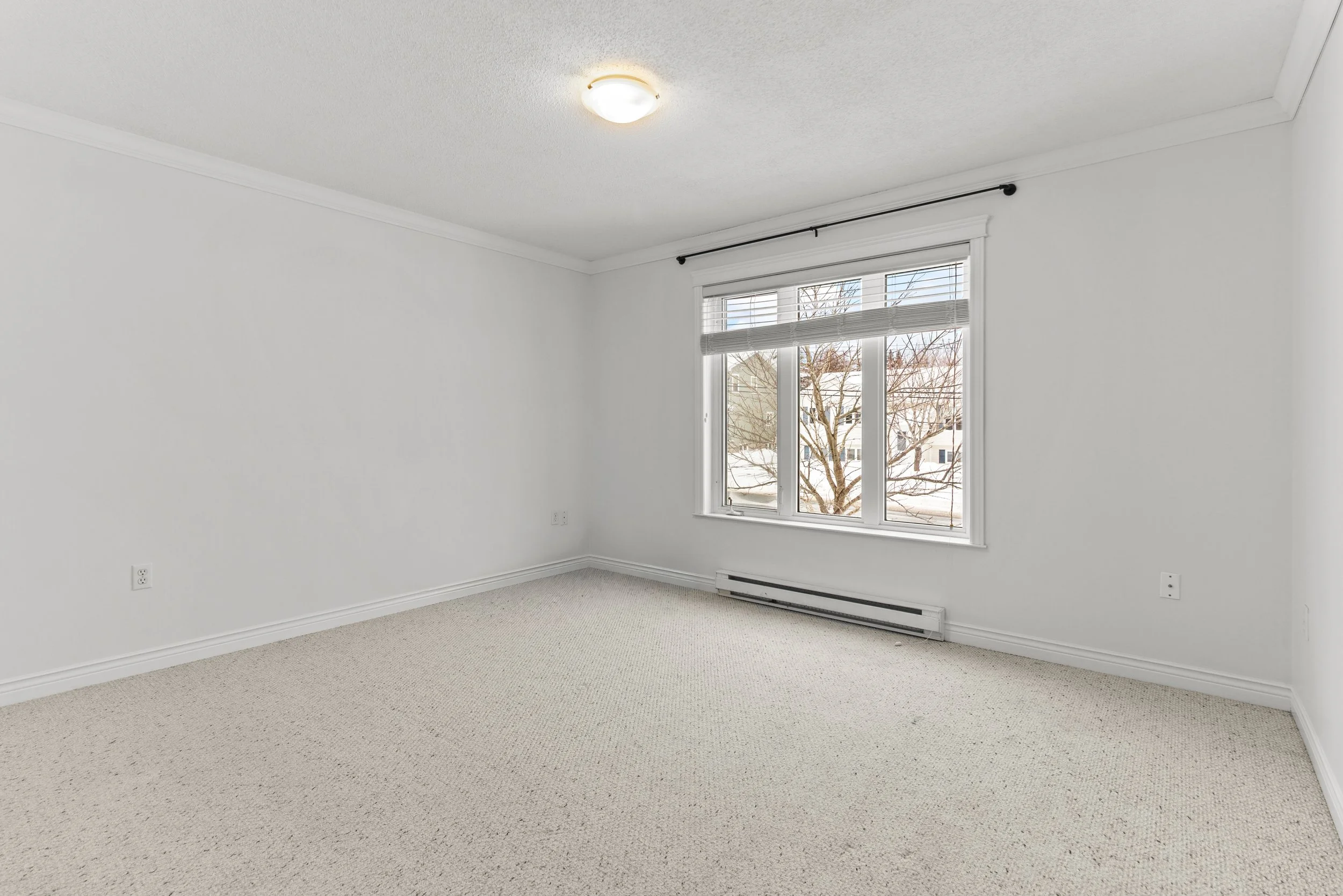 Copy of IMG_7478.jpg