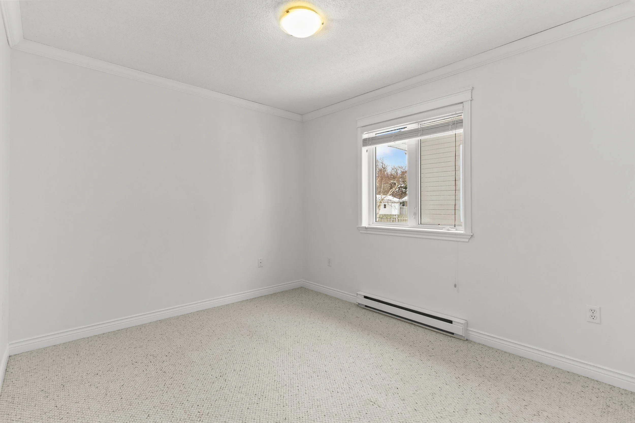 Copy of IMG_7484.jpg