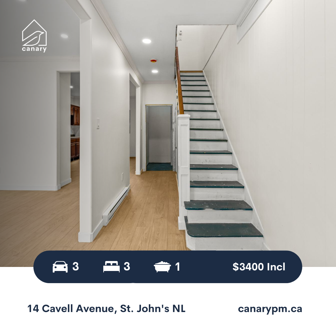14 Cavelle Avenue.png