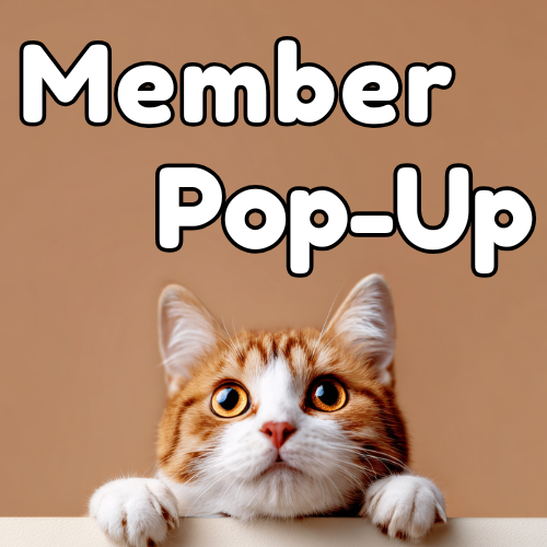 Member Pop-Up || Maxwell’s 9.13.34