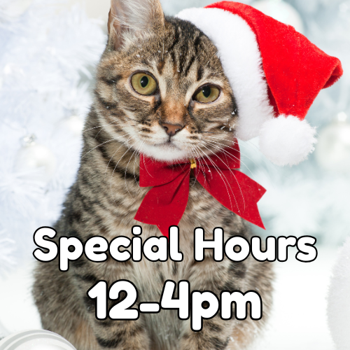Special Hours 12-4pm