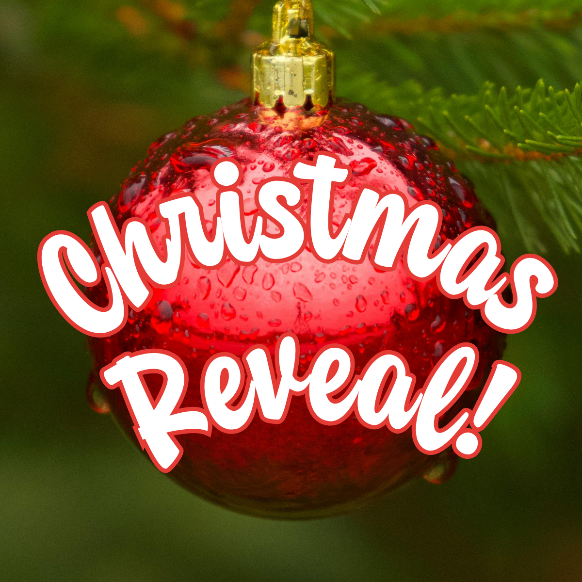 Christmas Decor Reveal