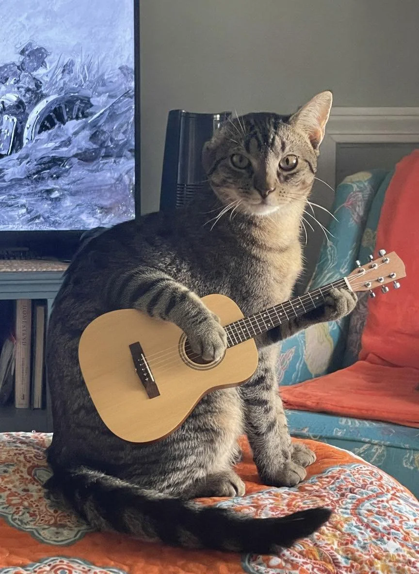 Live Music: One-Eared Cat