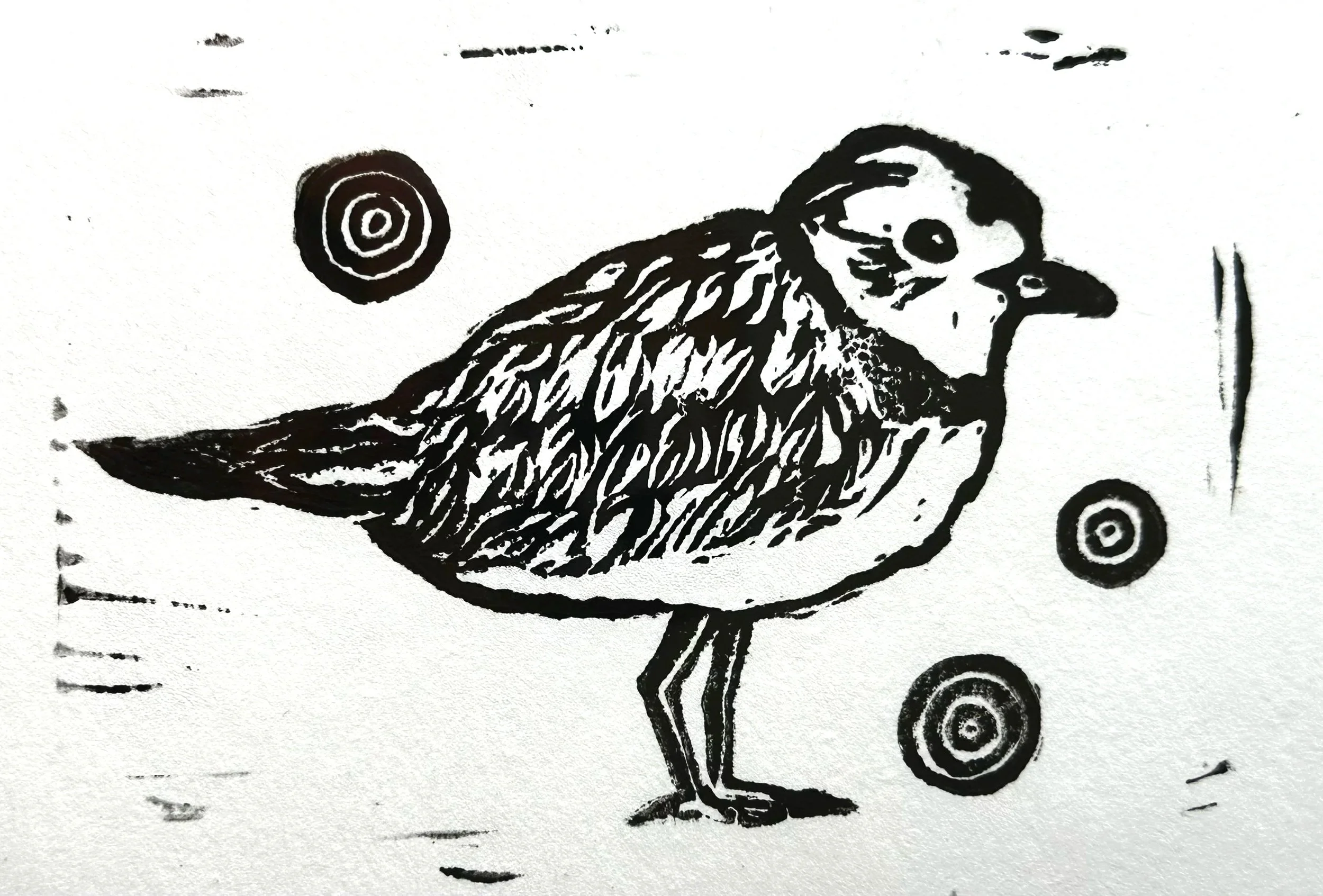 Piping Plover. Linocut, 3" x 5"