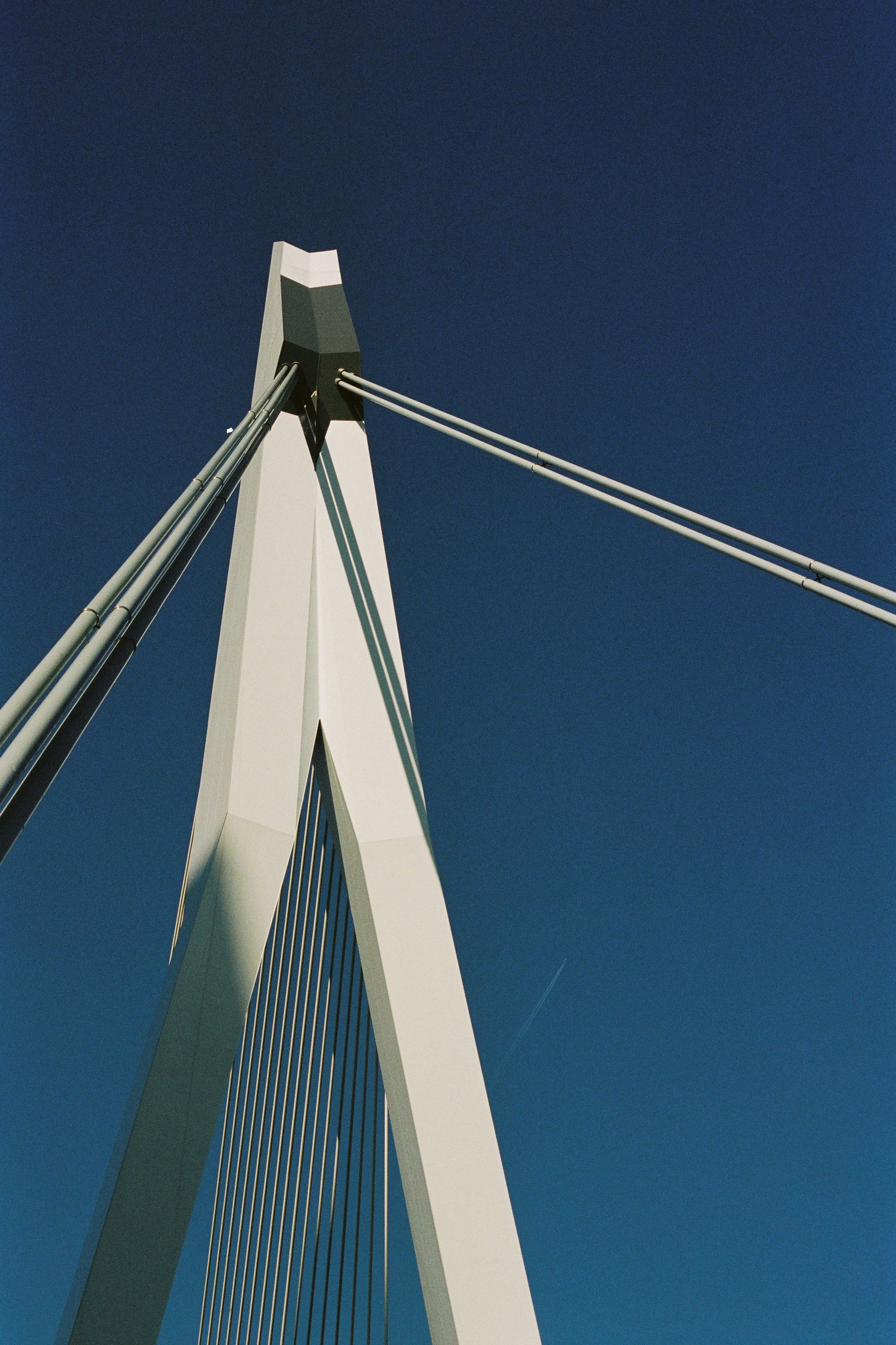 Erasmusbrug, Rotterdam