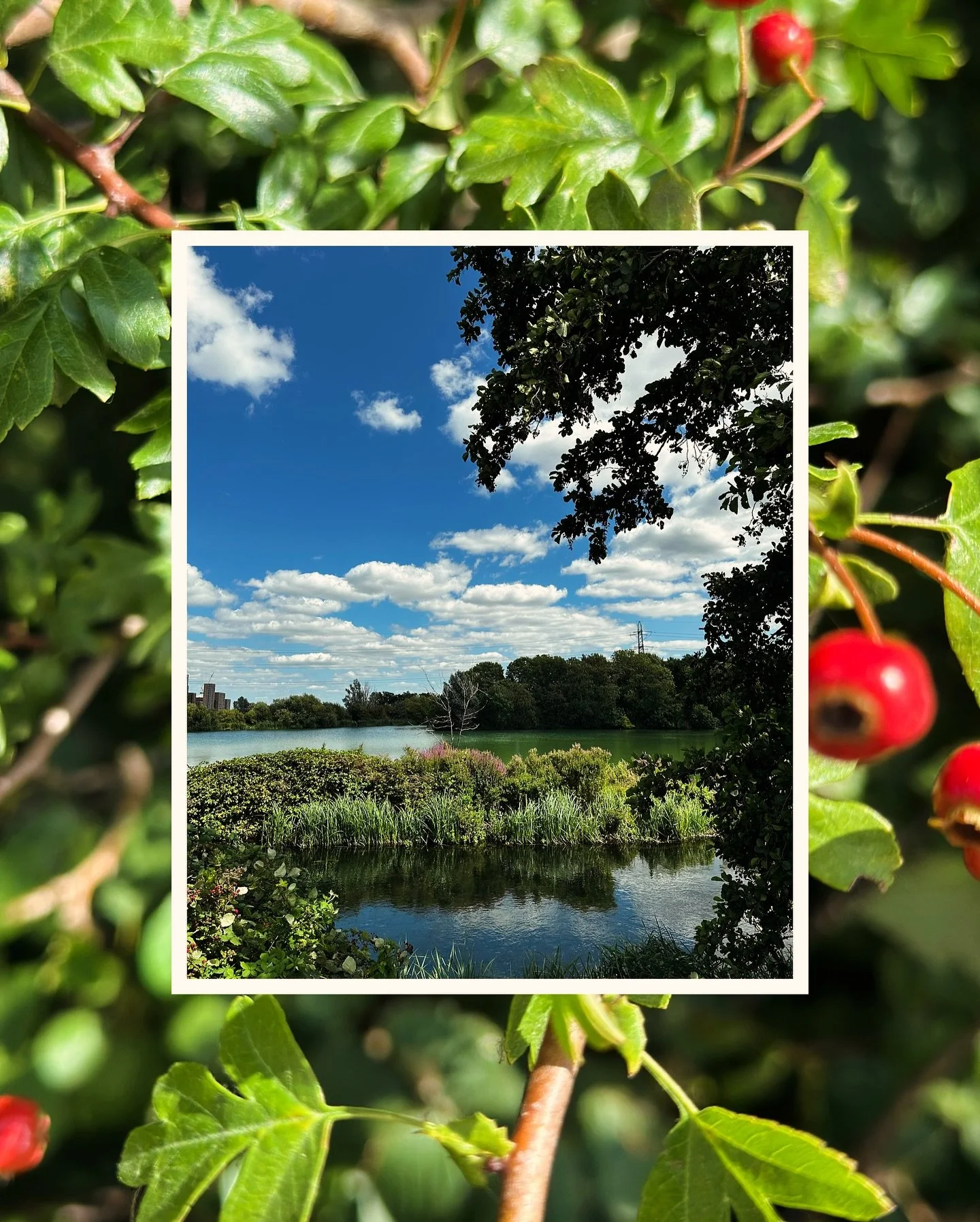 Fresh air, good friends, and a Sabbath well spent — loving our summer series! Think it’s fair to say that Walthamstow Wetlands has become a new favourite here at Acts!
#WeAreActsChurch #SummerSeries #GodOfOutside #Walks #Nature #NatureRe