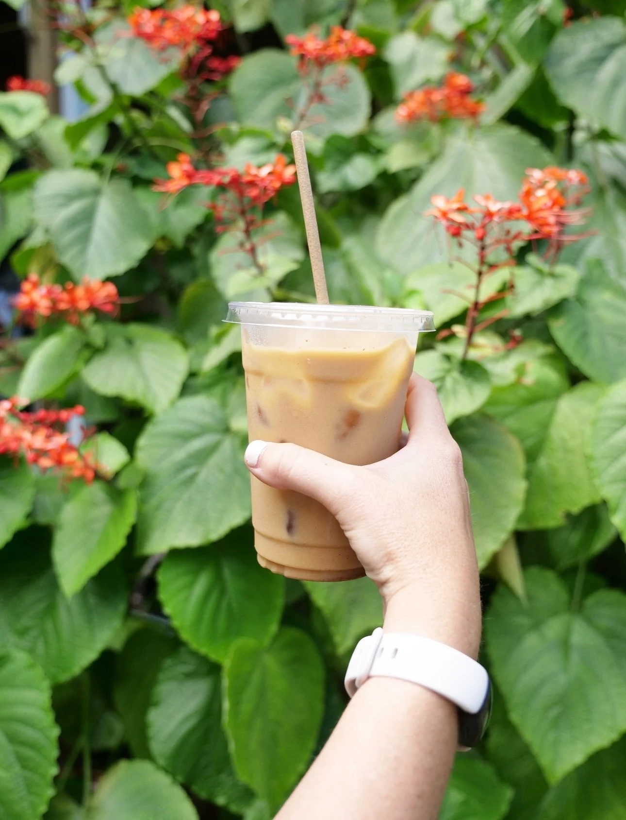 Mid-week refuel ☕️🥑

Ragga Surf Cafe open this week:
Wednesday to Sunday 7am - 2pm
Saturday evenings 5pm - 8:30pm

134 Riberia Street
St. Augustine, FL

#brunchtime🍴 #staugustinefl #raggasurfcafe #cafebythewater #stafla