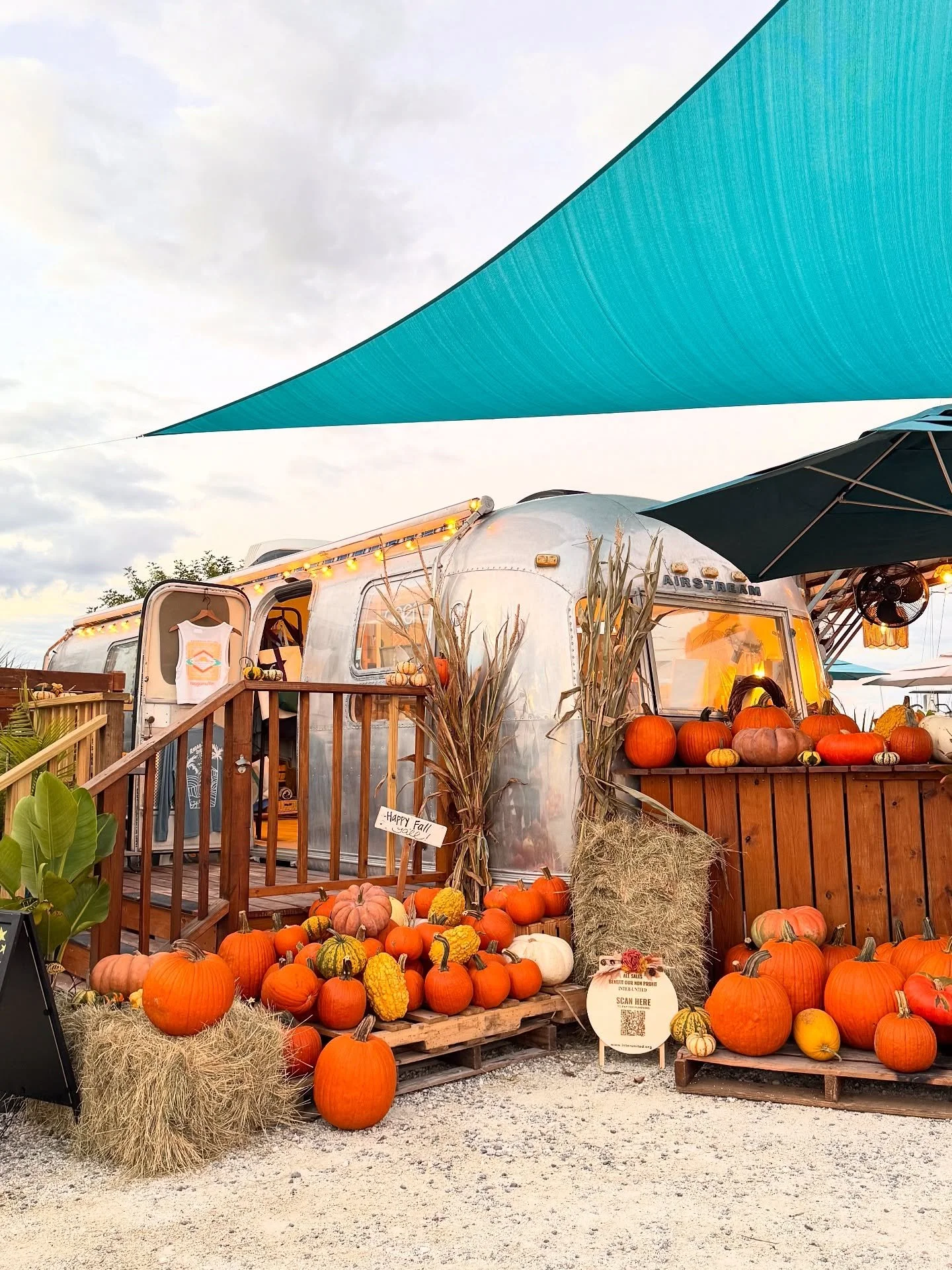 Still time to pick your pumpkin! Visit our mini patch at Ragga Surf Cafe and support a great cause with Inter-United @interunitedsoccer. 

Ragga Surf Cafe is open all weekend long 7am - 2pm and also Saturday 5pm - 8:30pm

134 Riberia Street
St. Augus