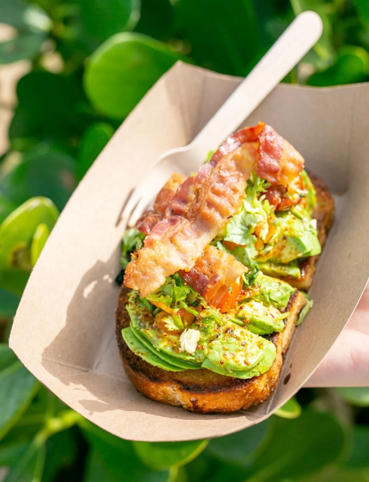 No better way to start your Wednesday in St. Aug 🥑🍞 

Ragga Surf Cafe 
134 Riberia Street
St. Augustine, Florida 

#avocadotoast #brunch #staugustine #raggasurfcafe