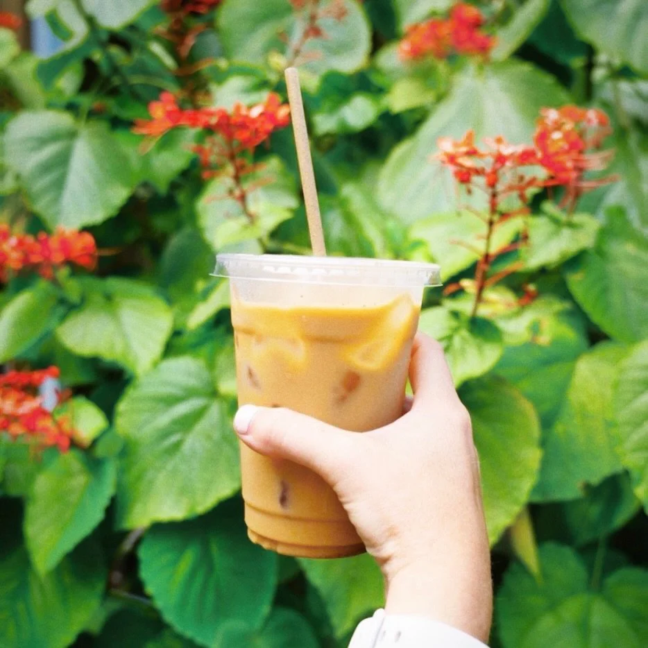 🧊☕ weather 

#raggasurfcafe